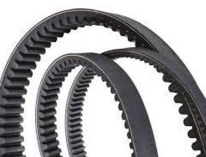 correia sincronizada rexon 8m 30 x 4400 mm